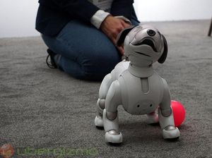 Teknologi Robot Menyerupai Manusia Sudah Ada, Tapi...
