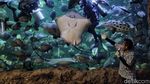 Sea World Ancol Sudah Buka Nih Gaes