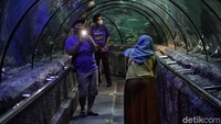 Pihak Sea World menyiapkan tanda-tanda berupa garis batas yang bisa diikuti pengunjung untuk panduan physical distancing.