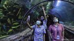 Sea World Ancol Sudah Buka Nih Gaes