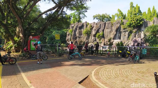 Suasana Taman Margasatwa Ragunan dikunjungi warga, Sabtu (20/6/2020).