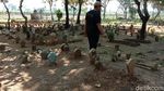 Suasana Terkini Makam yang Bikin Geger di Kudus
