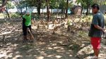 Suasana Terkini Makam yang Bikin Geger di Kudus