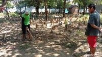 Di lokasi itu banyak ditanami tanaman kamboja. Masih terlihat ada bekas galian penemuan bungkusan kain kafan misterius itu. Salah satu penggali makam Taufik mengaku baru pertama kali menemukan bungkusan kain kafan berisi bangkai ayam dan foto perempuan.