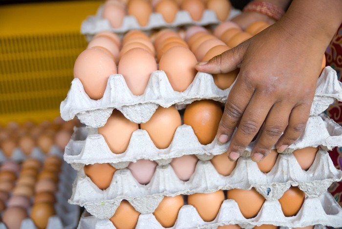 Telur Telur