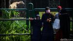 Gaes, Ragunan Sudah Buka Lho