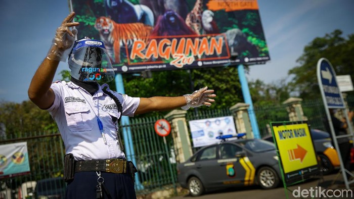 Taman Margsatwa Ragunan (TMR) kembali dibuka di masa PSBB transisi. Meski tidak seramai sebelum pandemi Corona, warga mulai berdatangan ke lokasi.