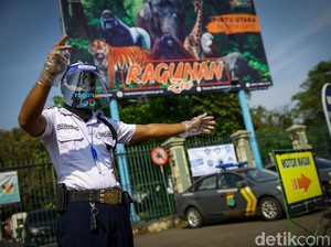 Selama New Normal, Ragunan Larang Wisatawan Interaksi dengan Satwa