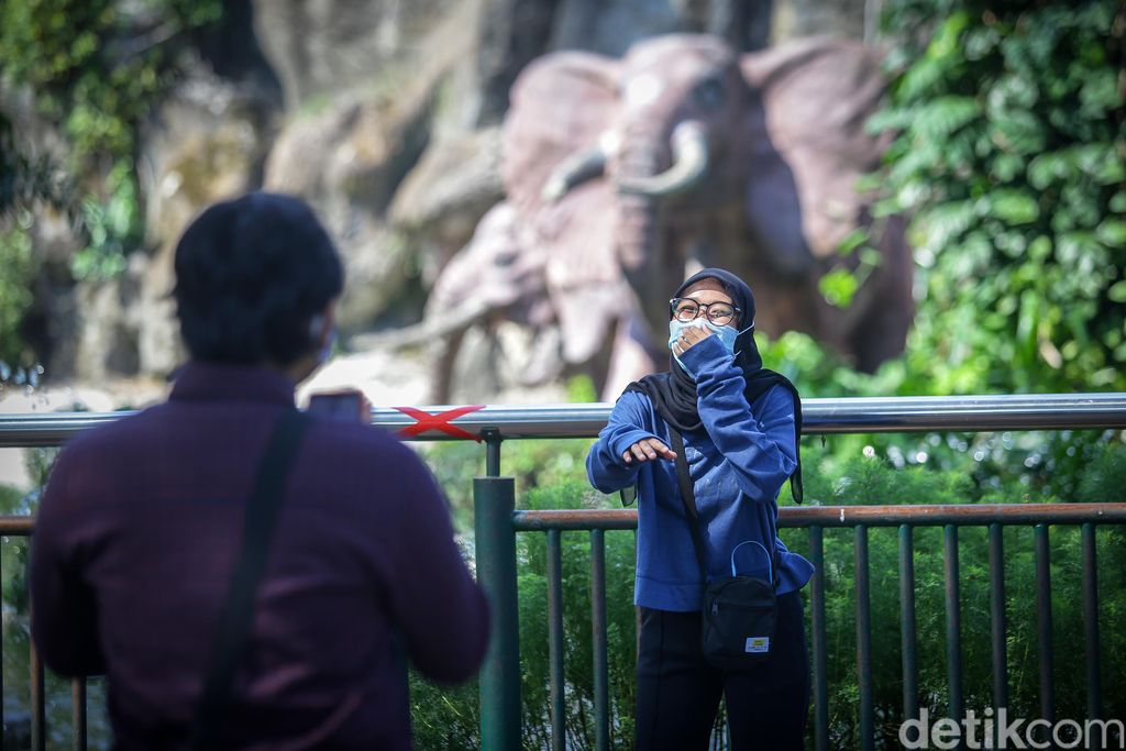 Taman Margsatwa Ragunan (TMR) kembali dibuka di masa PSBB transisi. Meski tidak seramai sebelum pandemi Corona, warga mulai berdatangan ke lokasi.