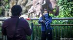 Gaes, Ragunan Sudah Buka Lho