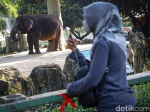 Jakarta Ultah ke-493, Ini 5 Destinasi Wisata yang Buka