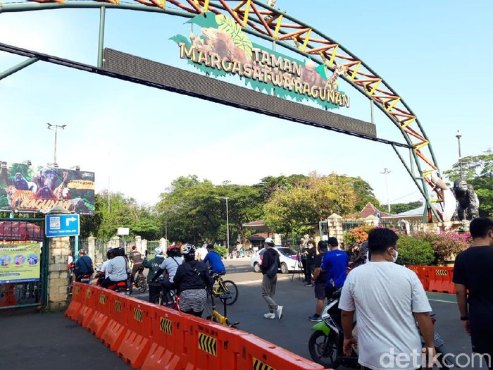 Warga kunjungi Taman Margasatwa Ragunan usai kembali dibuka di masa PSBB transisi, Sabtu (20/6/2020) (Rahel Narda C/detikcom)