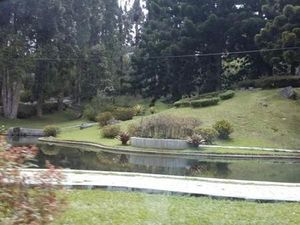 Liburan Murah Meriah di Cibodas