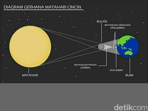 Catat, Ini Waktu Gerhana Matahari Cincin Terlihat di Langit Surabaya
