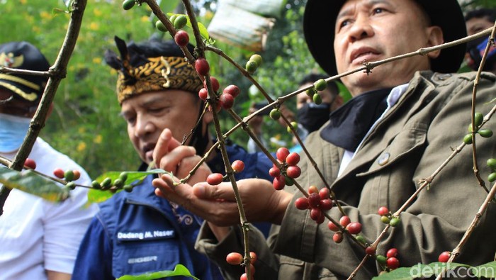 Menteri Koperasi dan UKM Teten Masduki