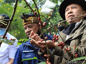 Menkop UKM Sebut Sektor Pertanian-Perkebunan Bisa Diberi Relaksasi