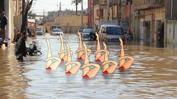 Kumpulan burung angsa yang sedang berenang di tengah kota. (Foto: Mokhallad Habib)