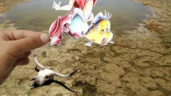 Air surut, seolah putri mermaid meminta tolong untuk menyelamatkan rumahnya. (Foto: Mokhallad Habib)