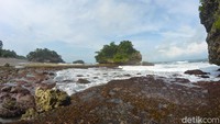 Saat surut, traveler bisa melihat rumput laut dan biota-biota lainnya, seperti kepiting dan kelomang. (Faizal Amiruddin/detikcom)