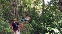 Perjalanan dengan roda 2 maupun roda 4, ditempuh selama lebih kurang tiga puluh menit dari Polewali. Kemudian dilanjutkan dengan berjalan kaki membelah bukit sejauh lebih kurang 200 meter. (Abdy Febriady/detikcom)