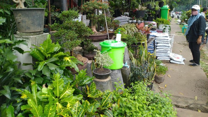 Pedagang Bunga di Ragunan