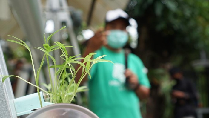 PT Jamkrindo memfasilitasi pelatihan budidaya hortikultura dengan sistem hidroponik kepada anggota Asosiasi Homestay Ciletuh di Desa Ciwaru, Kecamatan Ciemas, Kabupaten Sukabumi, Jawa Barat Sabtu 20 Juni 2020. Pelatihan diberikan dengan mengikuti protokol kesehatan sebagai respons perusahaan memberi nilai tambah bagi pemilik homestay yang terdampak covid-19.