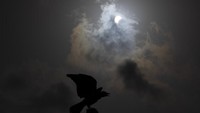 Fenomena gerhana matahari sebagian juga terlihat di langit kawasan Hefer Valley, Israel, Minggu (21/6/2020). AP Photo/Ariel Schalit  