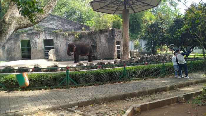 Ragunan Kembali Dibuka