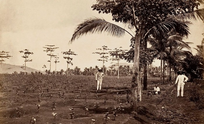 sejarah pondok kopi sejarah pondok kopi