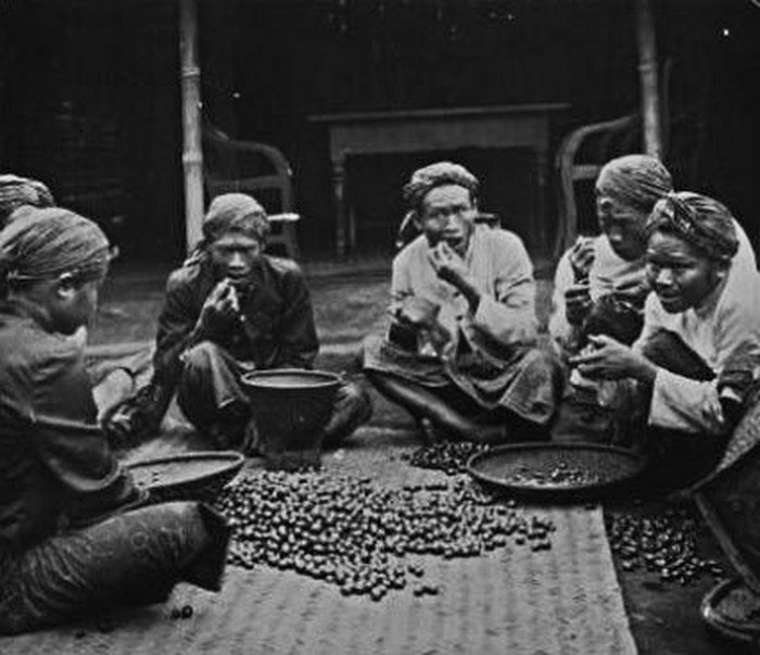 sejarah pondok kopi