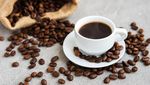 Percaya Engga, Kopi Juga Bikin Pintar Lho