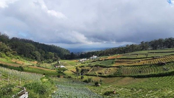 Telaga Sarangan