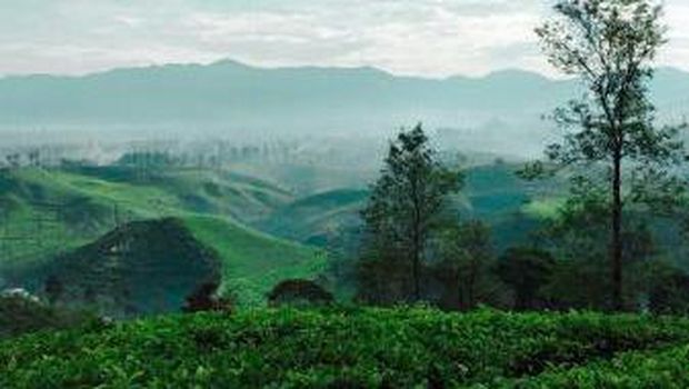 3 Destinasi Wisata Alam bandung yang Wajib Dikunjungi