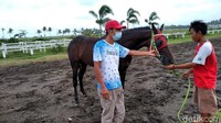 Arena pacuan kuda ini sebenarnya juga memiliki daya tarik tersendiri di sektor pariwisata. (Foto: Faizal Amiruddin/detikcom)