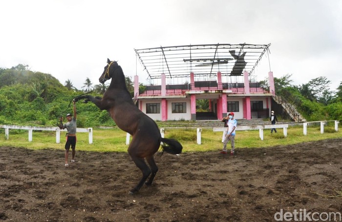 Arena Pacuan Kuda Legok Jawa di Pangandaran