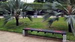 Asyiknya Menikmati Sore di Lapangan Banteng