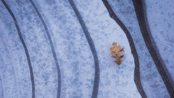 Special karya Andrew Baruffi menduduki peringkat tiga. Foto: Andrew Baruffi/World Landscape Photographer