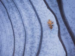 Sumpah Keren! Foto Juara World Landscape Photographer