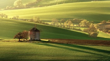 Radoslav Cernicky berada di peringkat keenam dengan karya berjudul Kunkovices green. Foto: Radoslav Cernicky/World Landscape Photographer