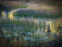 Sumpah Keren! Foto Juara World Landscape Photographer