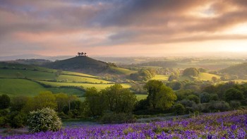Pemandangan matahari terbit di Colmers Hill, Dorset karya Romain Roullier. Foto: Roman Roullier/World Landscape Photographer