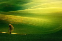 jawara world landscape photographer