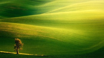 Pemandangan lembah hijau hasil tangkapan Radoslav Cernicky. Foto: Radoslav Cernicky/World Landscape Photographer