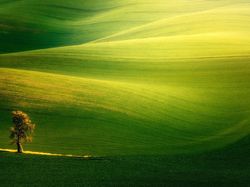 Sumpah Keren! Foto Juara World Landscape Photographer