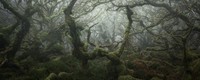 jawara world landscape photographer
