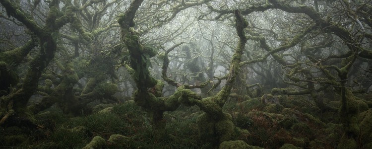 jawara world landscape photographer