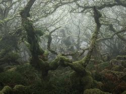 Sumpah Keren! Foto Juara World Landscape Photographer