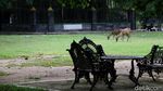Kembali Dibuka, Taman Balekambang Solo Sepi Pengunjung