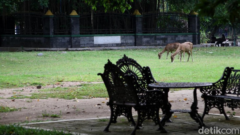 Kembali Dibuka, Taman Balekambang Solo Sepi Pengunjung Taman Balekambang yang berada di kawasan Solo kembali dibuka untuk umum. Meski telah dibuka, kawasan itu masih sepi dari pengunjung.