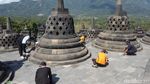 Petugas Bersihkan Abu Merapi dari Candi Borobudur